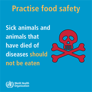 FS_sick animals do not eat sick or dead animals