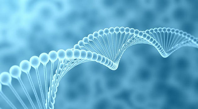 human-genome-flickr-630px genome
