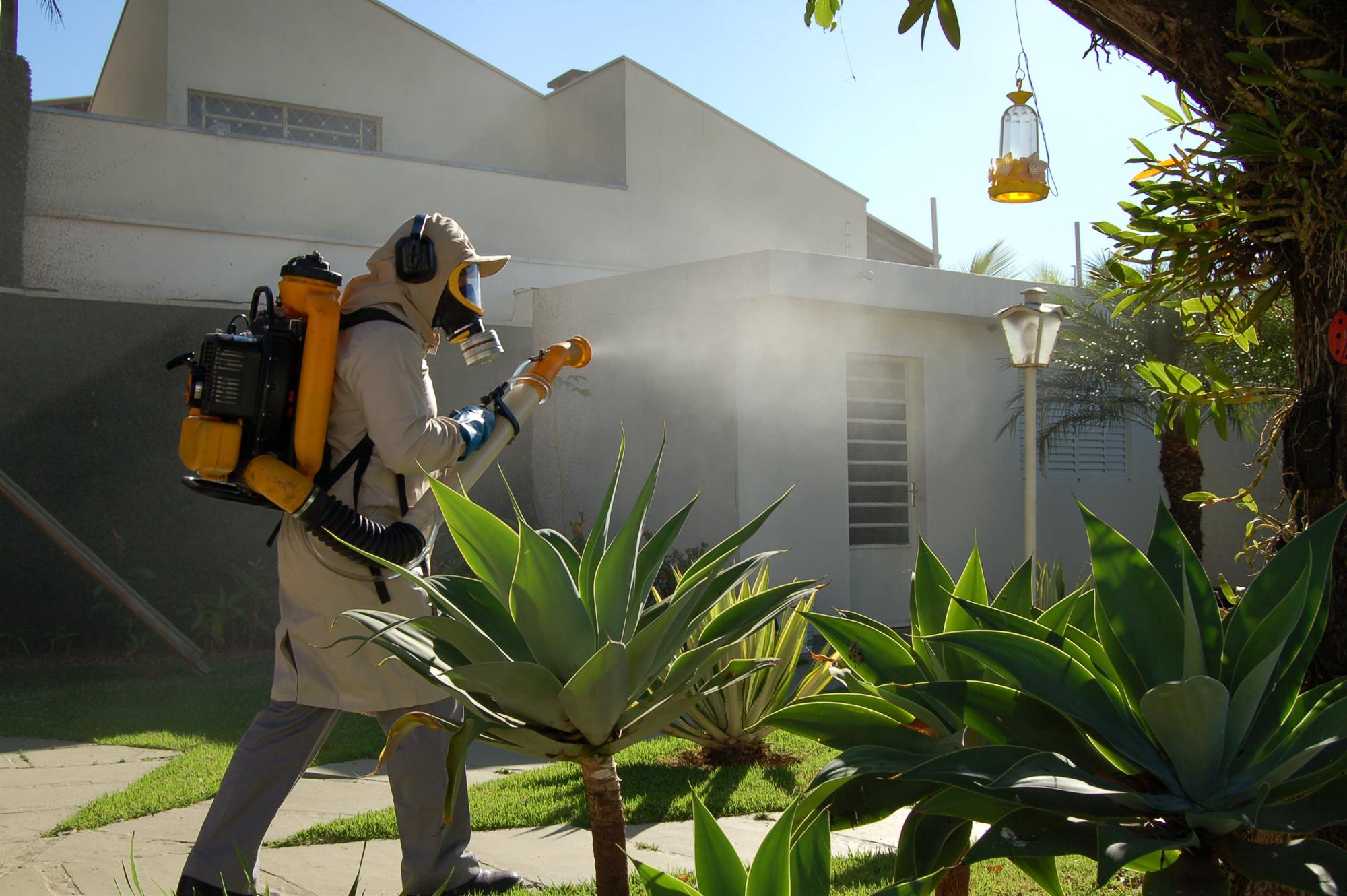 Vector control to prevent mosquito borne diseases in Brazil (c)André Luiz D. Takahashi