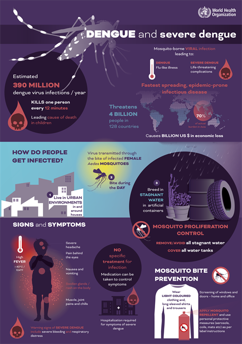 dengue infographic dengue_infographic
