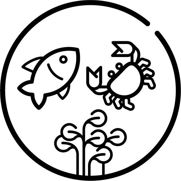 WHO NTD emblem