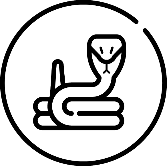 Snakebite icon