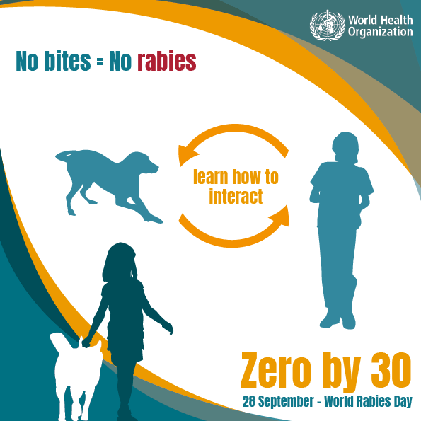 No bite No rabies No bite No rabies
