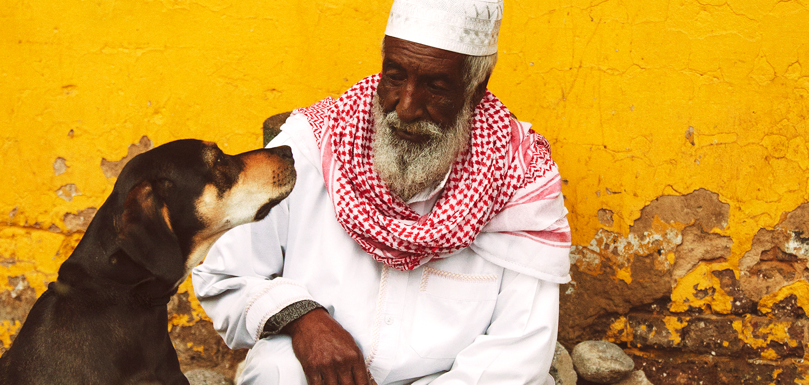 WRD2020 Un chien regarde un homme âgé