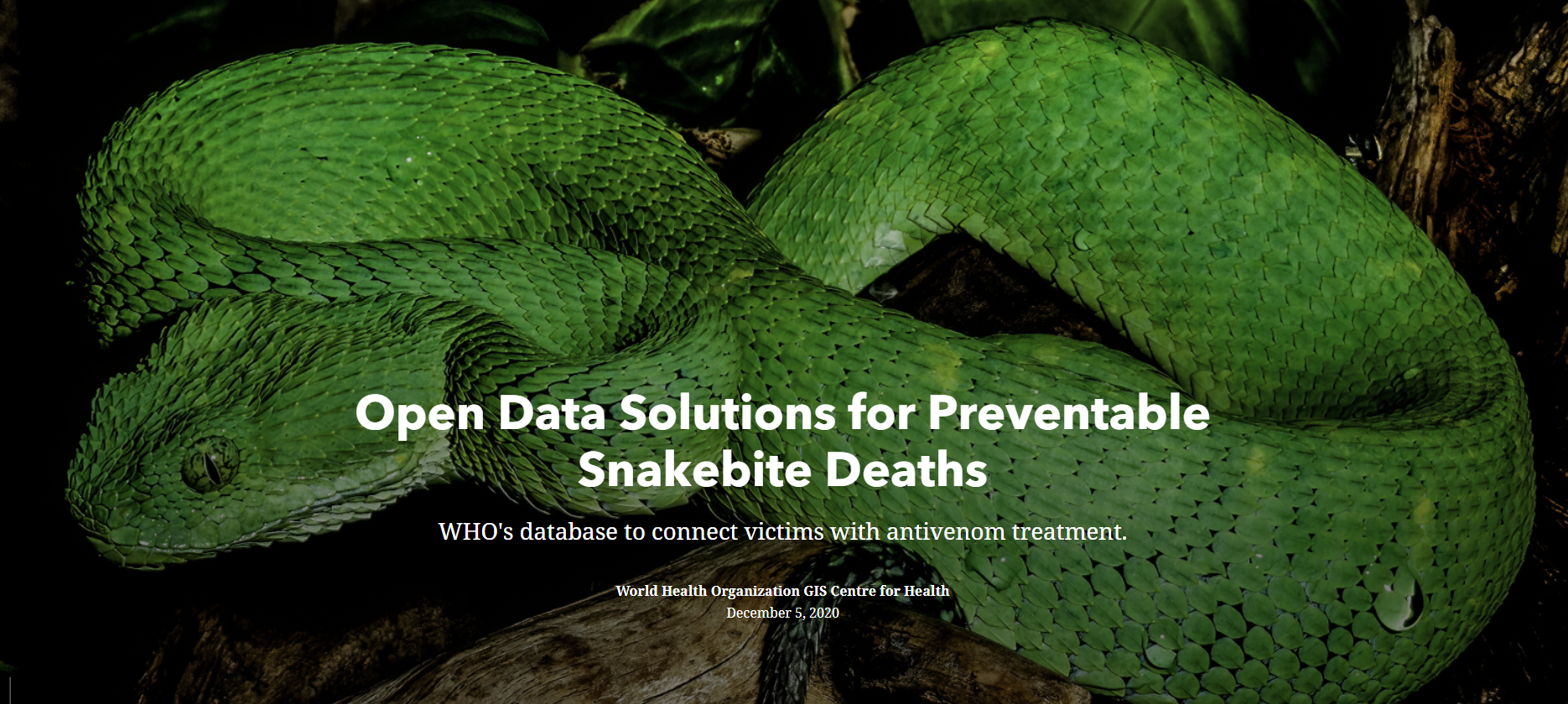 Snakebite-story-map Open Data Solutions for Preventable Snakebite Deaths