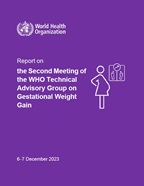 TAG-GWG second meeting report publication cover