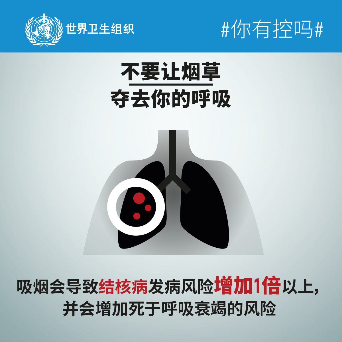 6188_WHO_WNTD19_INFOGRAPHICS_EN_5