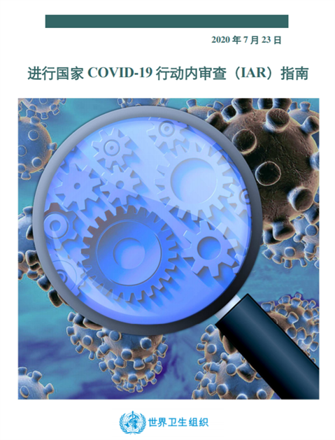 进行国家COVID-19行动内审查(IAR)指南