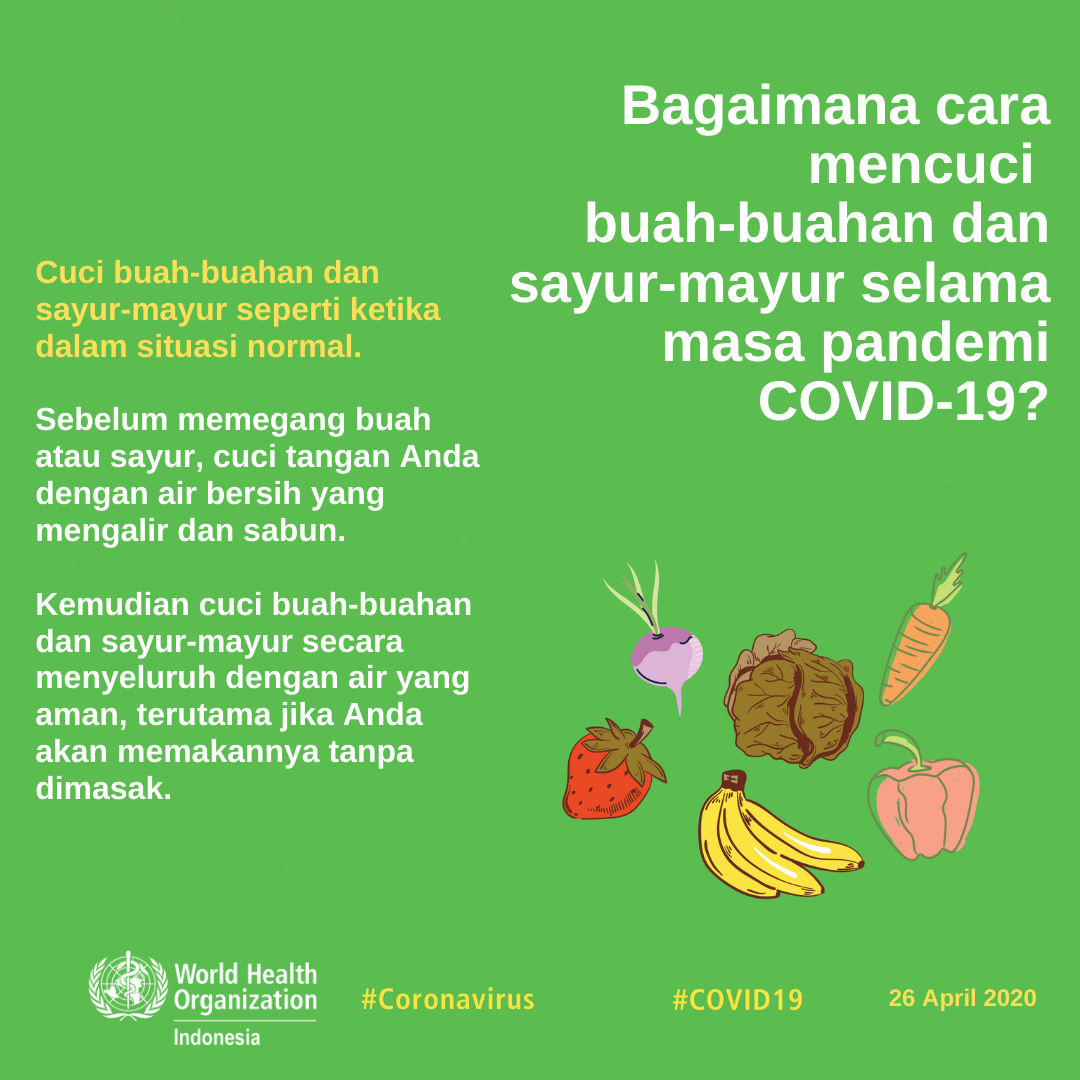 infograph emergency corona 2 indo