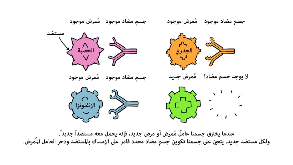 Vaccines Antibody illustration 01_29 Oct Vaccines Antibody illustration 01_29 Oct