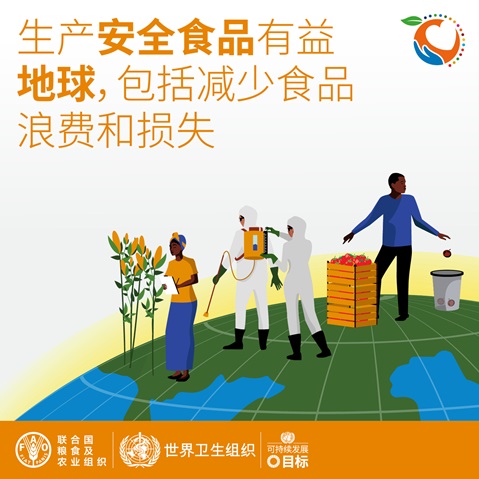 WFSD21_SocialMediaCard_03_Squared ZH 生产安全食品有益地球,包括减少食品浪费和损失